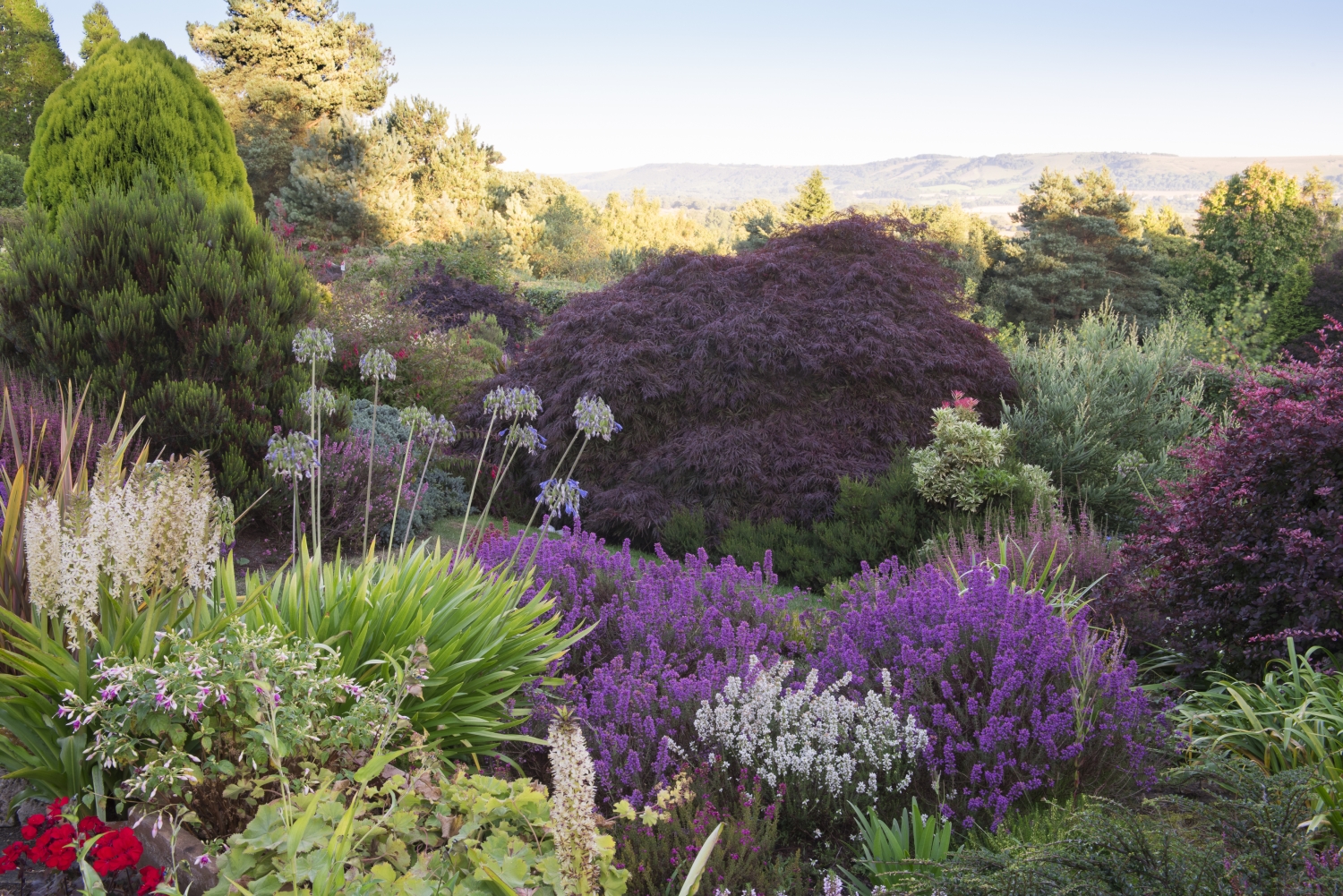 Champs Hill Pulborough Sussex Rh20 1ly National Garden Scheme